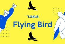 FlyingBird飞鸟机场怎么样?流媒体解锁的最佳选择-推荐VPN