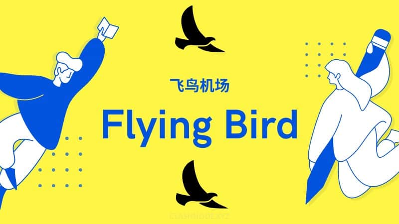 FlyingBird飞鸟机场怎么样?流媒体解锁的最佳选择 - 推荐VPN - 推荐VPN