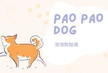 泡泡狗机场推荐&vpn机场评测,小众机场专线机场-推荐VPN