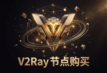 V2Ray 节点购买推荐:8 家稳定付费机场订阅-推荐VPN